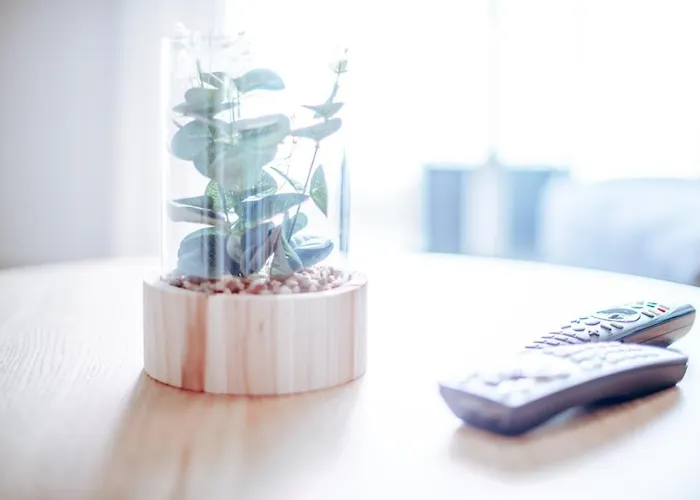 Enjoy The Moment Luxury La Tejita